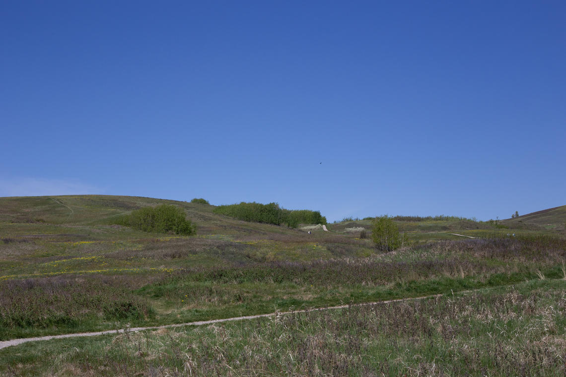 A bike trail at Nose Hill connects nature with residential communities