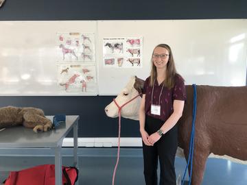 Vet Med students from across Canada