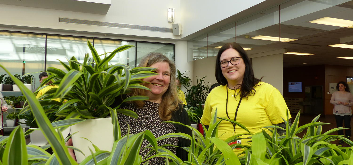 The plant project, implemented by the Haskayne Wise and Well Committee, had a big impact: Making the workplace more attractive, cleaning the air, reducing stress and increasing productivity.