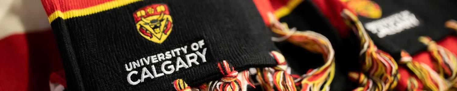 Schulich School of Engineering 