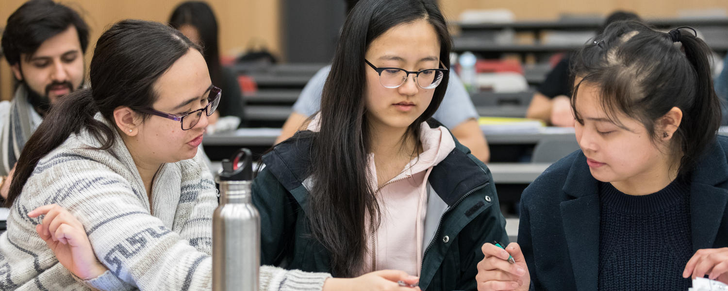 Project management students