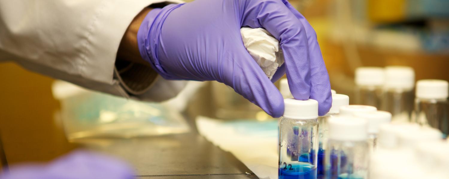 Catalysis Lab