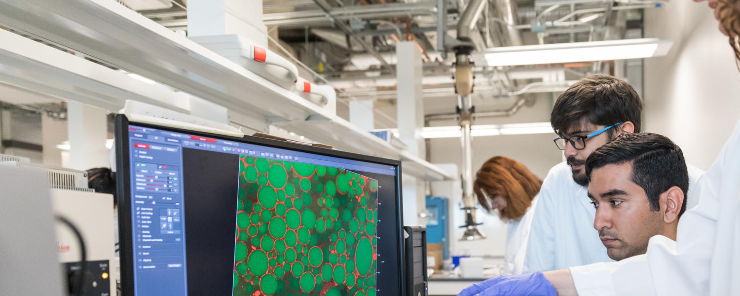 Nano composite polymers lab