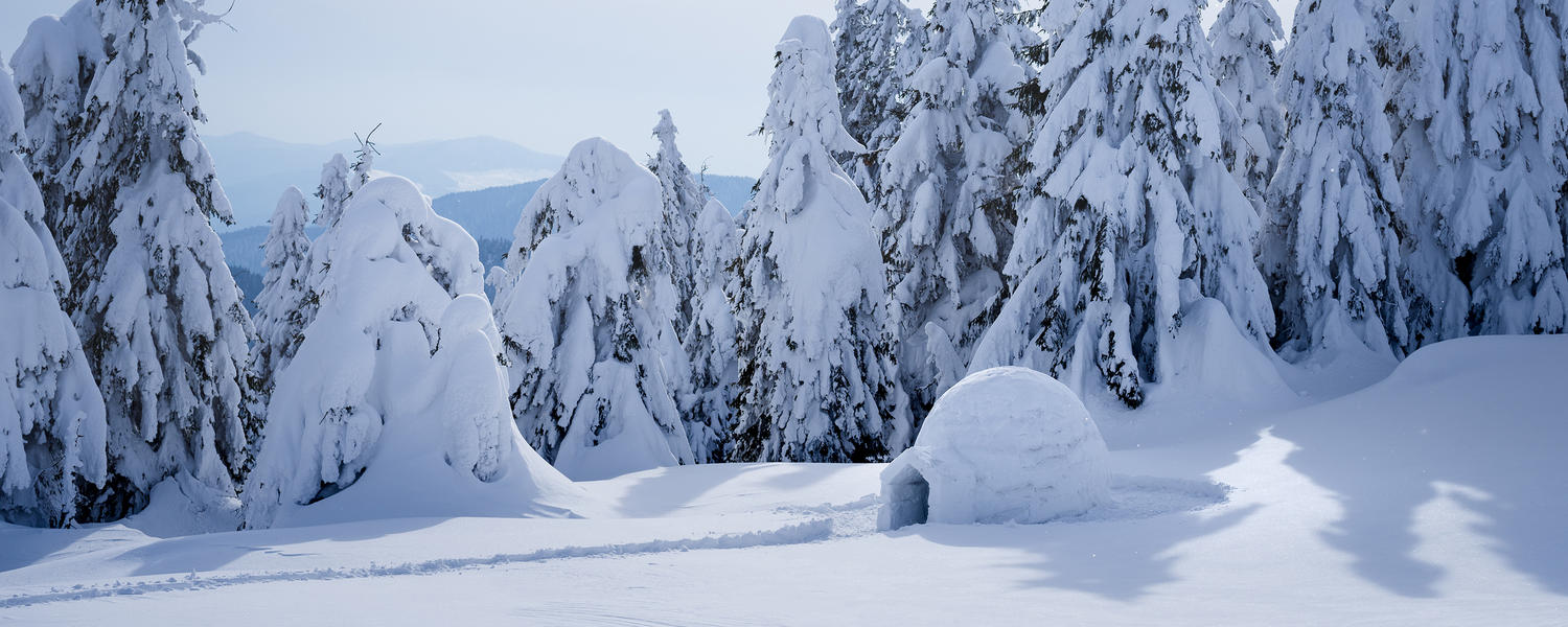 Snow shelter