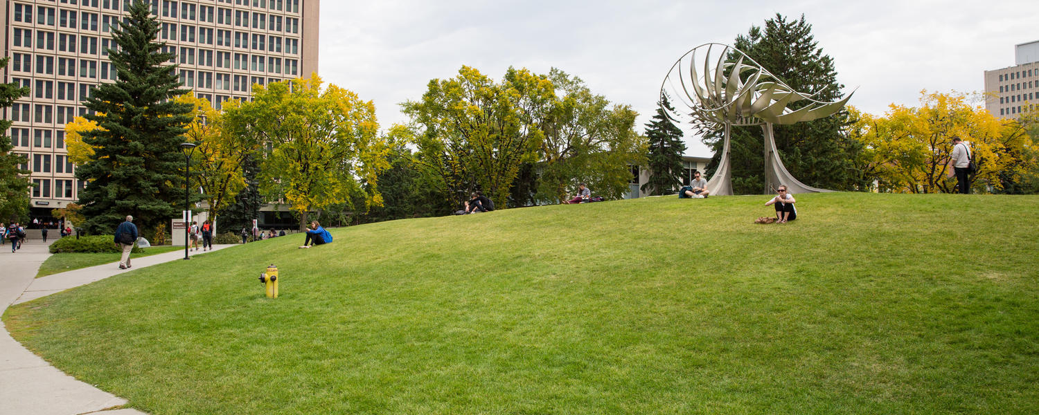 Biomedical Engineering Undergraduate Research Program