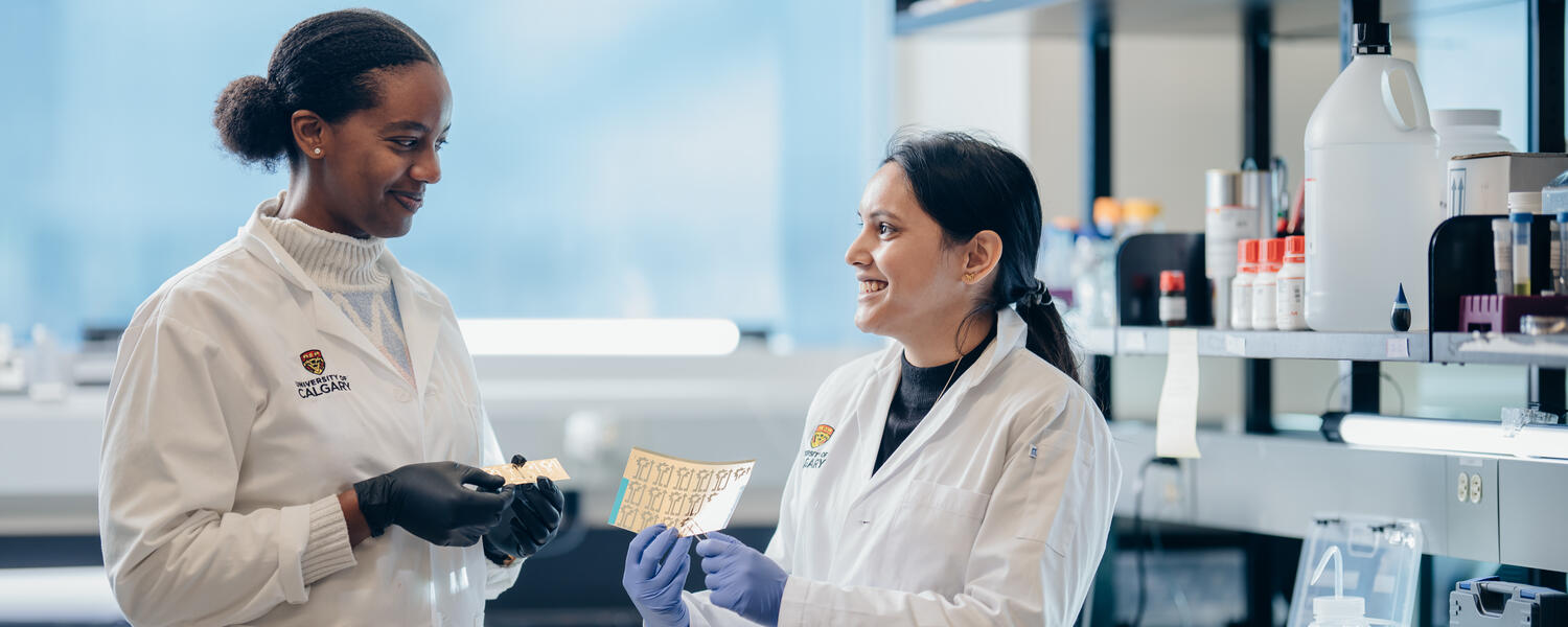 Biomedical Engineering at the Schulich School of Engineering