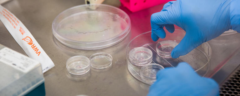Lab materials