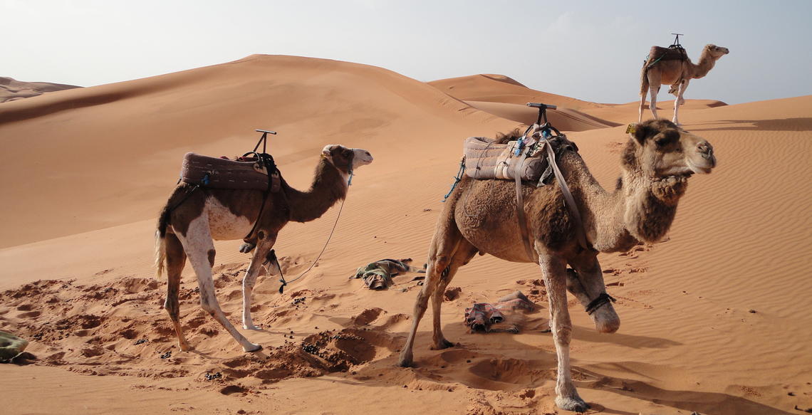 Marrakech, Morocco