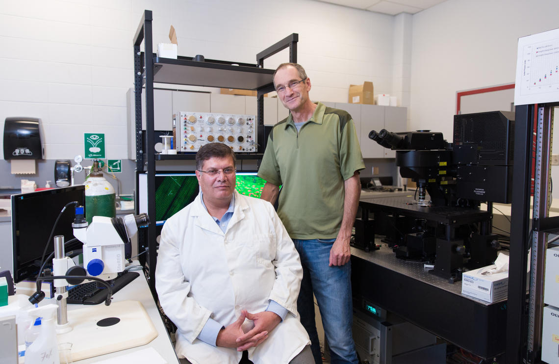 Dr. Walter Herzog and Dr. Ziad Abu Sara, Research Scientist