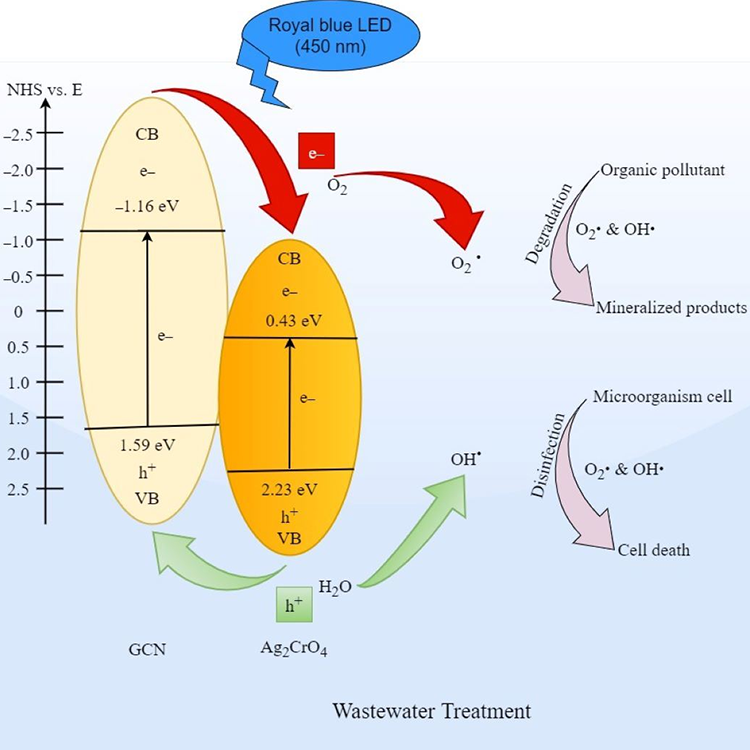 Graphical Abstract