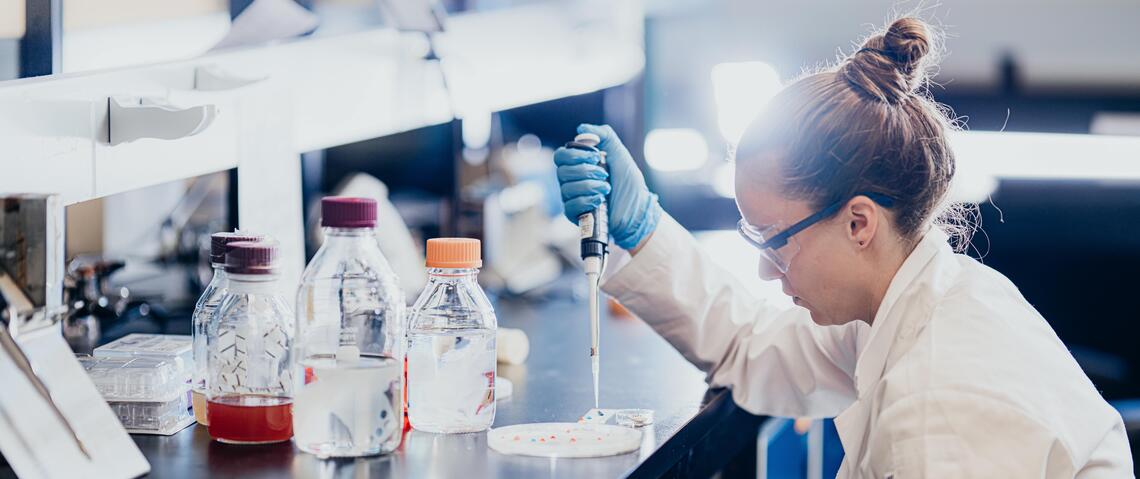 Biomedical engineering Biomedical engineering