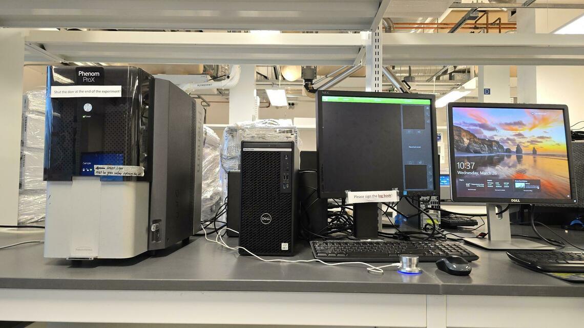 Scanning electron microscope