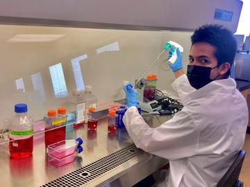 Submitted by Juan Afanador