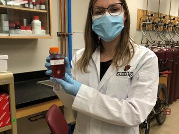 Submitted by Julia Malinovska