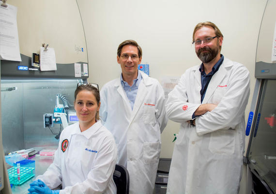 Stem Cell and Materials Based Strategies for Skin Regeneration