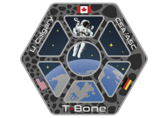 Effect of Space Flight on Bone Quality using High Resolution Imaging