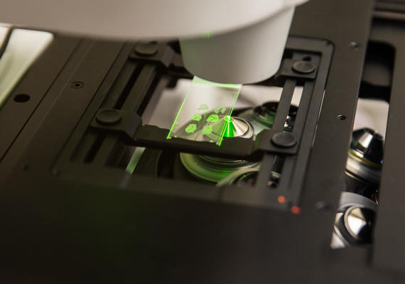 Brain-Machine Interfacing Technologies