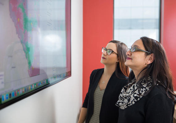 DESTINE: Decision Support Tool in Endovascular Therapy