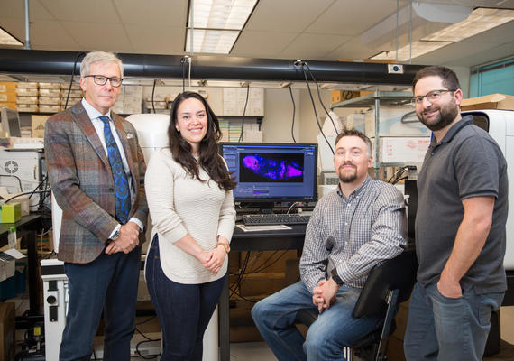Endogenous Repair of Cartilage
