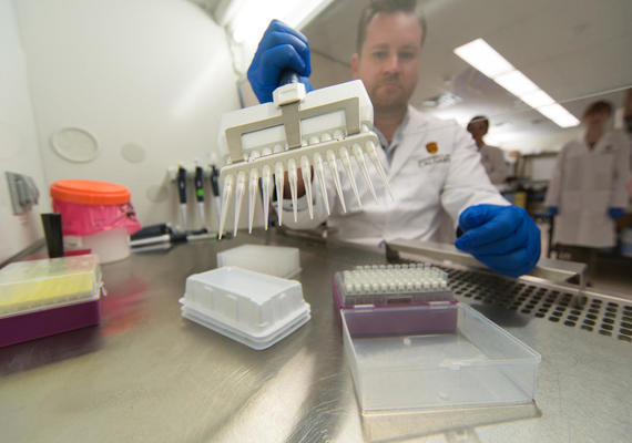 Days to Hours: New Rapid Diagnostic Tools for Fighting Blood