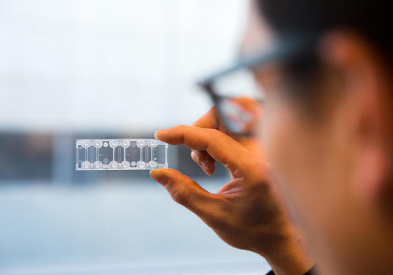 Human Infectious Diseases-On-Chips Bioengineering Collaborative