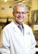Brij Maini
