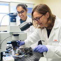 Aortic tissue testing