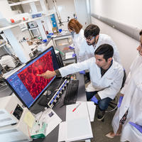 Schulich research